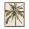Stupell Industries Palm Tree on Beige Framed Floater Canvas Wall Art Design by Ethan Harper